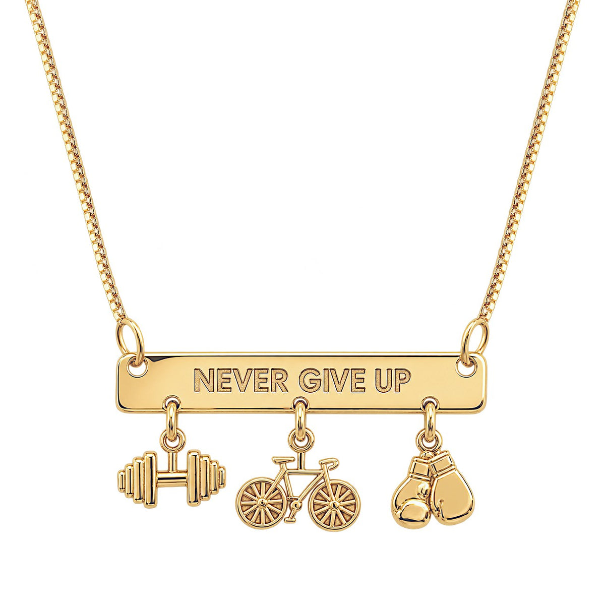 Colar Plaquinha Personalizado Never Give Up - Mari